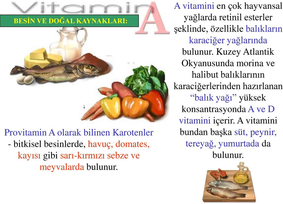 A vitamini en çok hayvansal yağlarda retinil esterler şeklinde, özellikle balıkların karaciğer yağlarında bulunur.