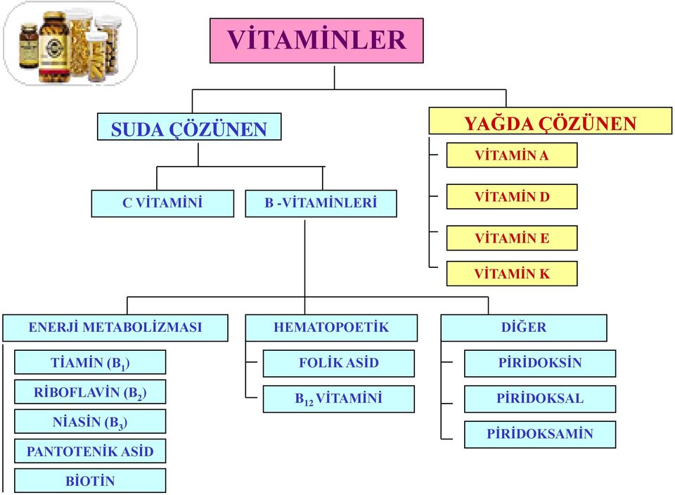 TİAMİN (B 1 ) RİBOFLAVİN (B 2 ) NİASİN (B 3 ) PANTOTENİK ASİD