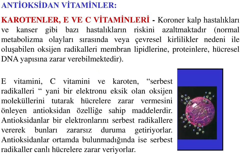 E vitamini, C vitamini ve karoten, serbest radikalleri yani bir elektronu eksik olan oksijen moleküllerini tutarak hücrelere zarar vermesini önleyen antioksidan özelliğe sahip