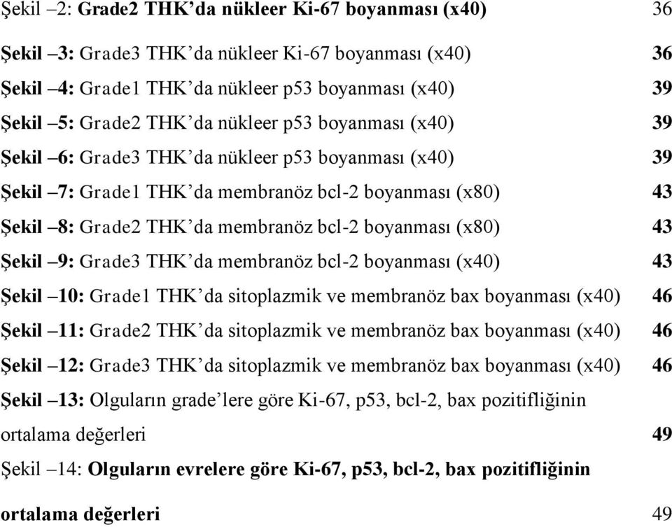 9: Grade3 THK da membranöz bcl-2 boyanması (x40) 43 Şekil 10: Grade1 THK da sitoplazmik ve membranöz bax boyanması (x40) 46 Şekil 11: Grade2 THK da sitoplazmik ve membranöz bax boyanması (x40) 46