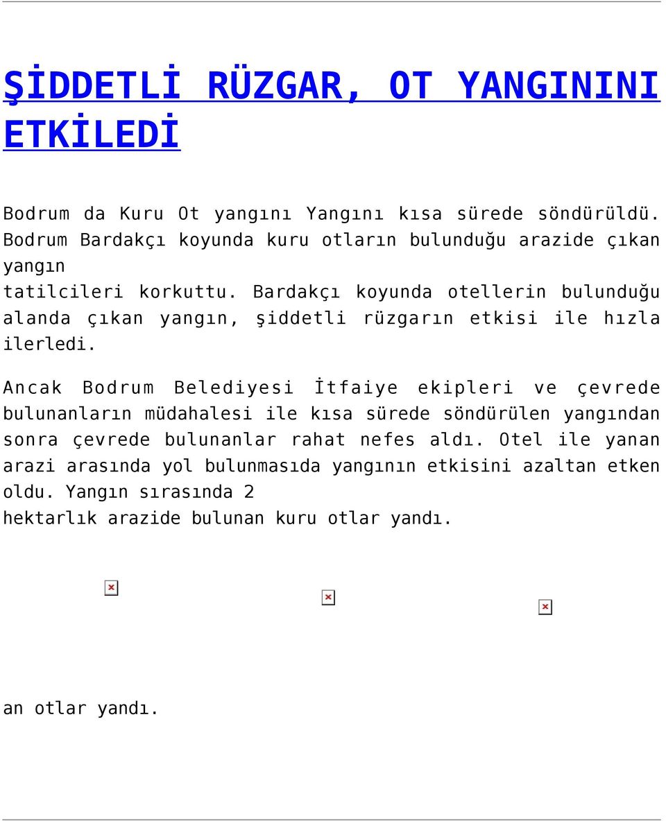 Bardakçı koyunda otellerin bulunduğu alanda çıkan yangın, şiddetli rüzgarın etkisi ile hızla ilerledi.