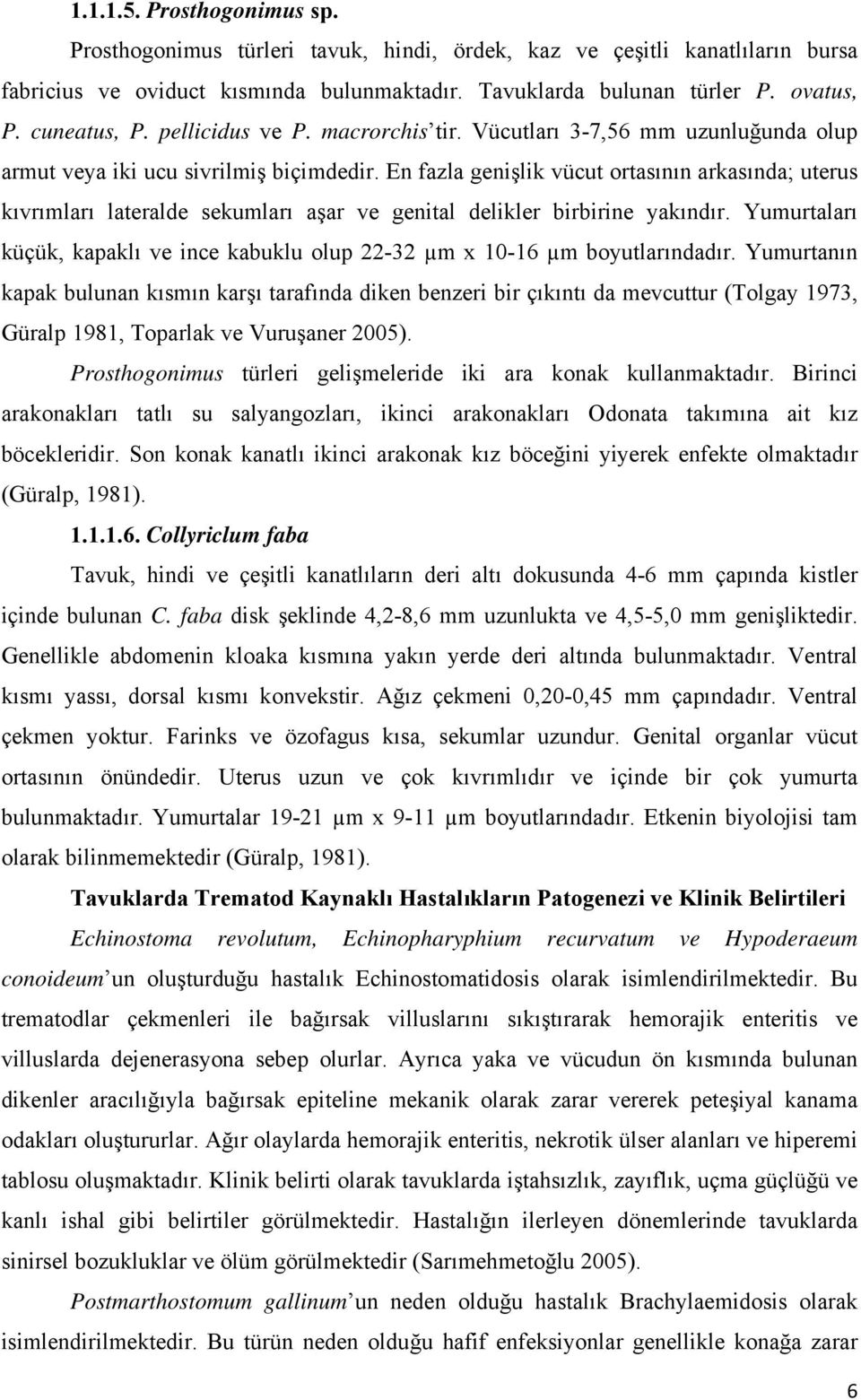 En fazla genişlik vücut ortasının arkasında; uterus kıvrımları lateralde sekumları aşar ve genital delikler birbirine yakındır.