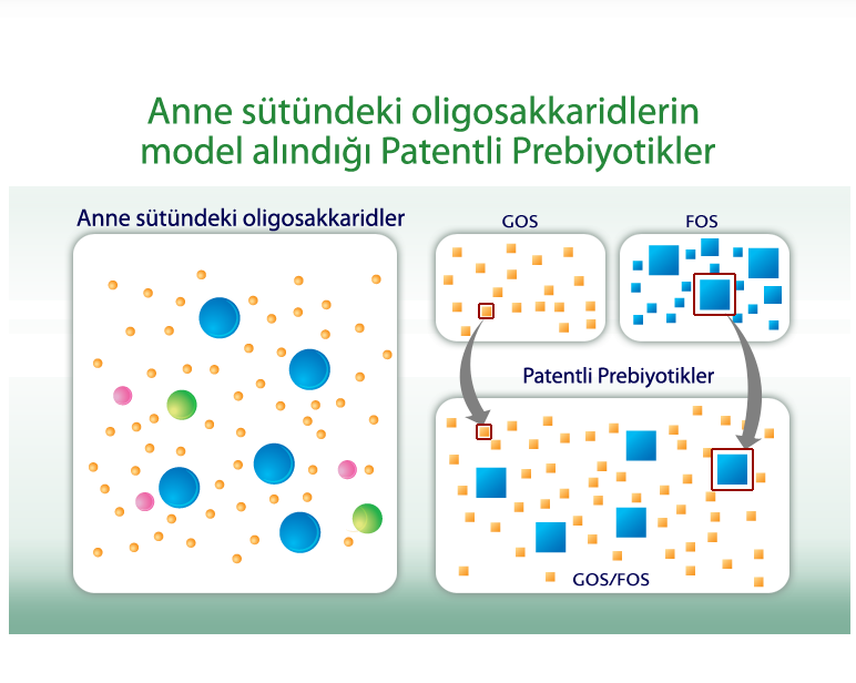 Anne sütündeki oligosakkaridler, birkaç büyük molekülün yanı sıra pek çok küçük molekülden oluşan çok karmaşık yapılardır.