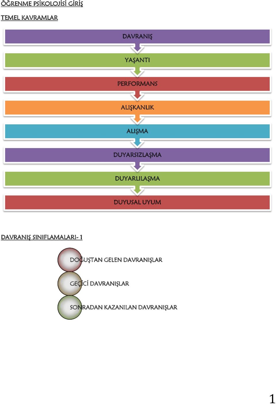 DUYARLILAŞMA DUYUSAL UYUM DAVRANIŞ SINIFLAMALARI- 1