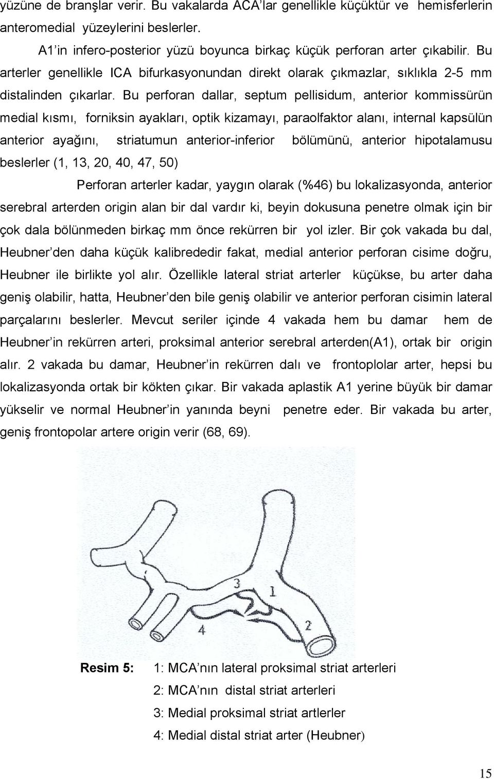 Bu perforan dallar, septum pellisidum, anterior kommissürün medial kısmı, forniksin ayakları, optik kizamayı, paraolfaktor alanı, internal kapsülün anterior ayağını, striatumun anterior-inferior