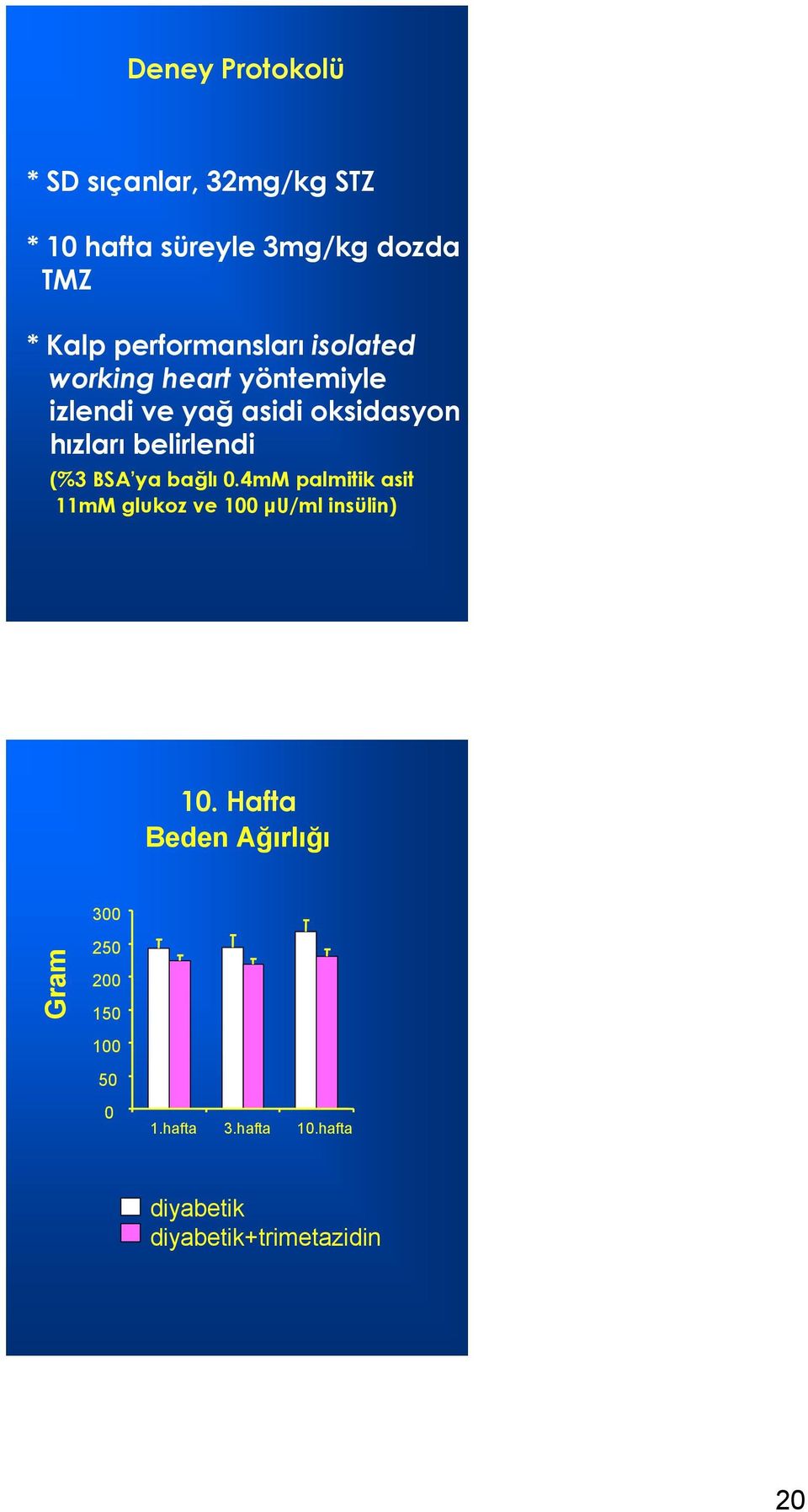 belirlendi (%3 BSA ya bağlı 0.4mM palmitik asit 11mM glukoz ve 100 μu/ml insülin) 10.