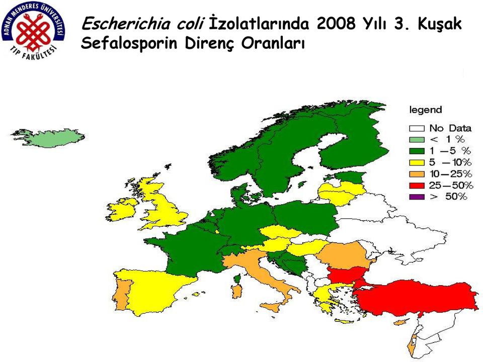 Yılı 3.