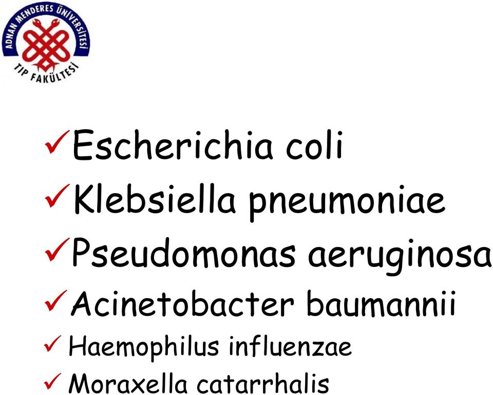 aeruginosa Acinetobacter