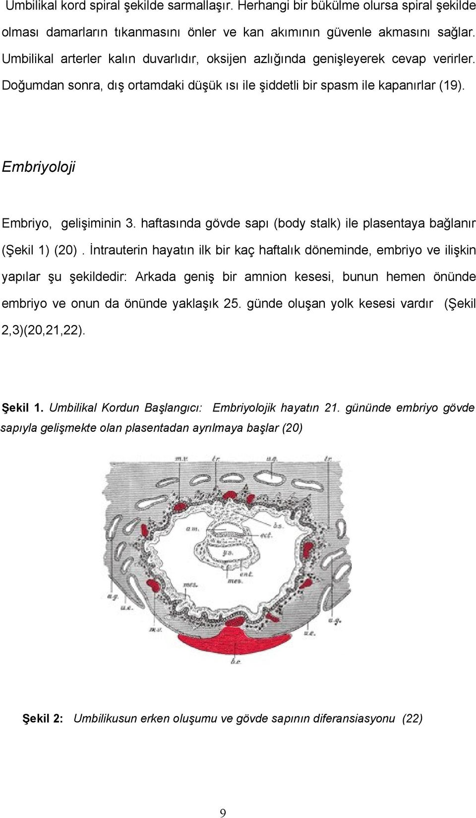 Embriyoloji Embriyo, gelişiminin 3. haftasında gövde sapı (body stalk) ile plasentaya bağlanır (Şekil 1) (20).