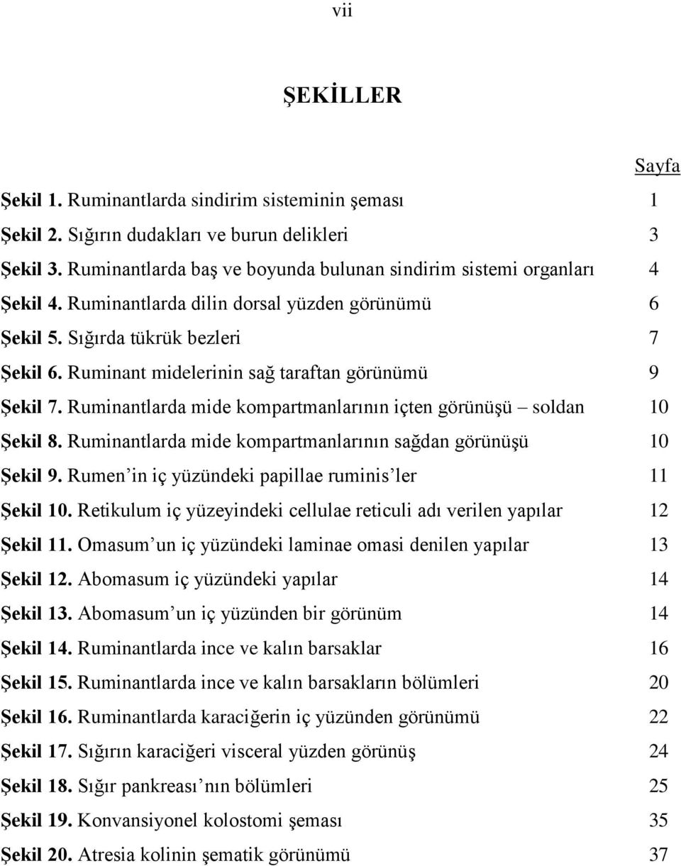 Ruminant midelerinin sağ taraftan görünümü 9 ġekil 7. Ruminantlarda mide kompartmanlarının içten görünüģü soldan 10 ġekil 8. Ruminantlarda mide kompartmanlarının sağdan görünüģü 10 ġekil 9.