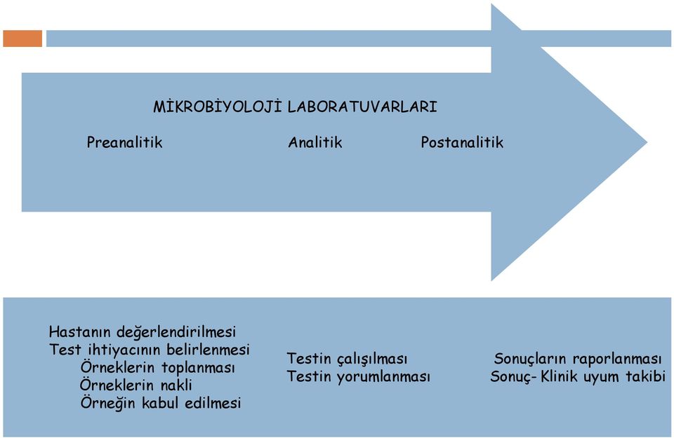 toplanması Örneklerin nakli Örneğin kabul edilmesi Testin