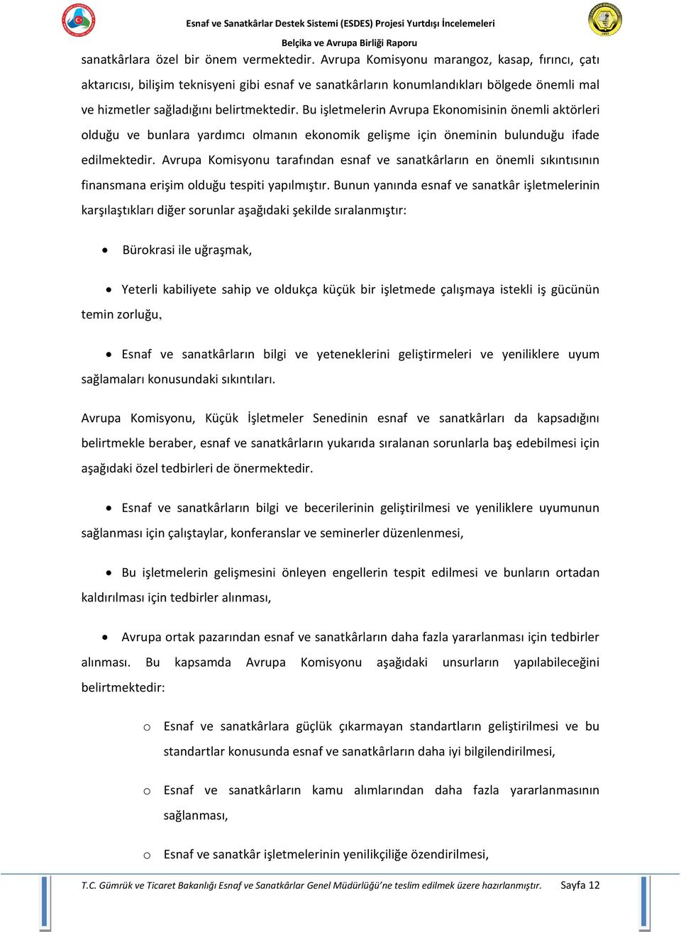 Bu işletmelerin Avrupa Ekonomisinin önemli aktörleri olduğu ve bunlara yardımcı olmanın ekonomik gelişme için öneminin bulunduğu ifade edilmektedir.