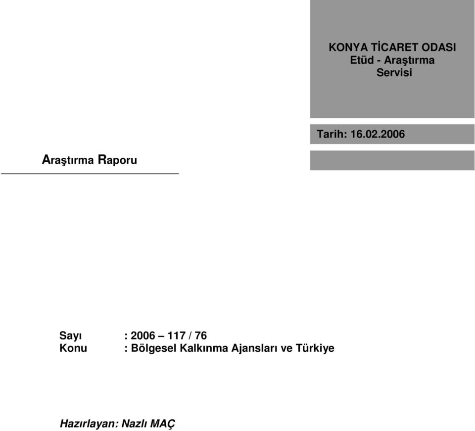 2006 Araştırma Raporu Sayı : 2006 117 /