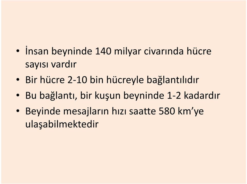 Bu bağlantı, bir kuşun beyninde 1 2 kadardır