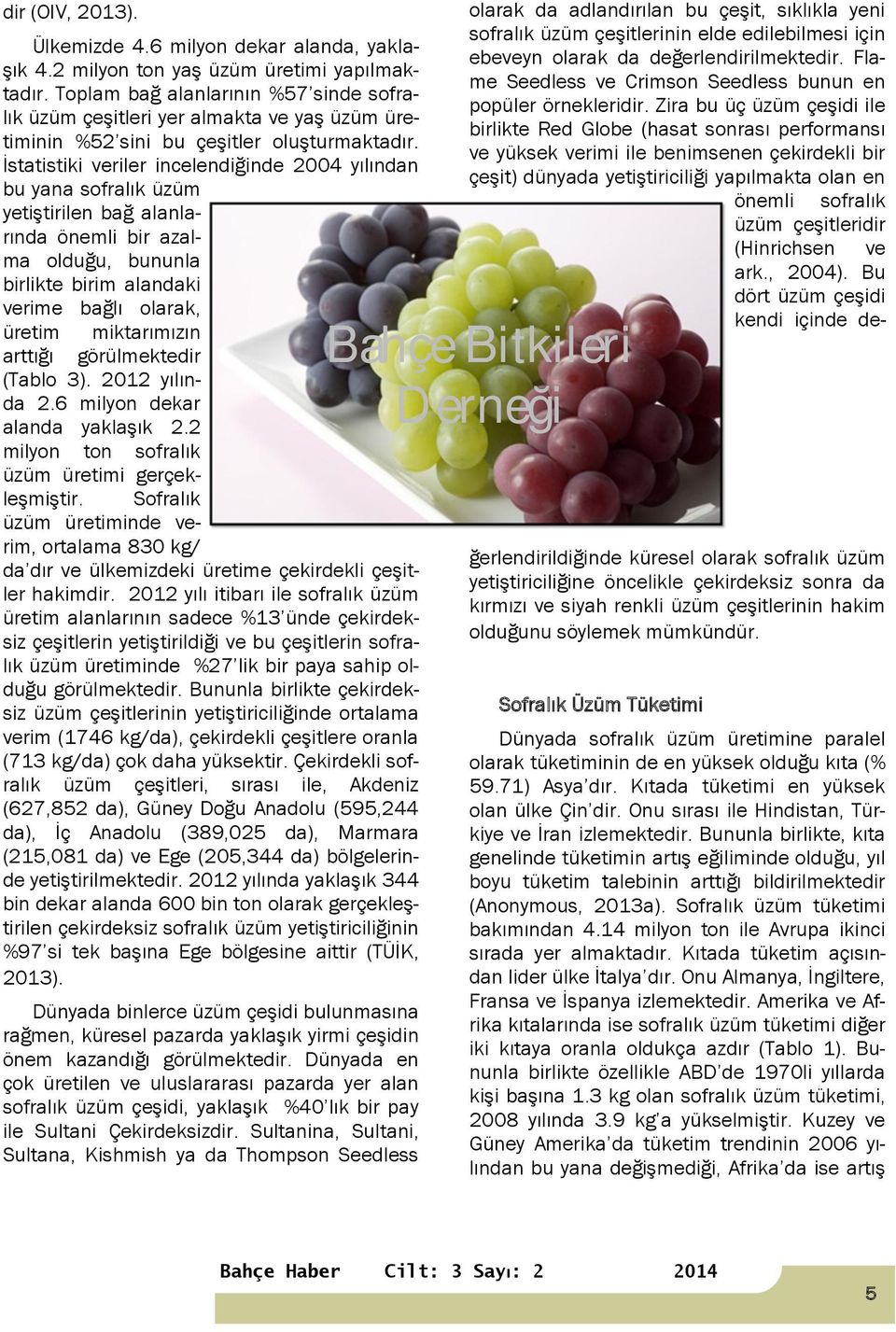 İstatistiki veriler incelendiğinde 2004 yılından bu yana sofralık üzüm yetiştirilen bağ alanlarında önemli bir azalma olduğu, bununla birlikte birim alandaki verime bağlı olarak, üretim miktarımızın