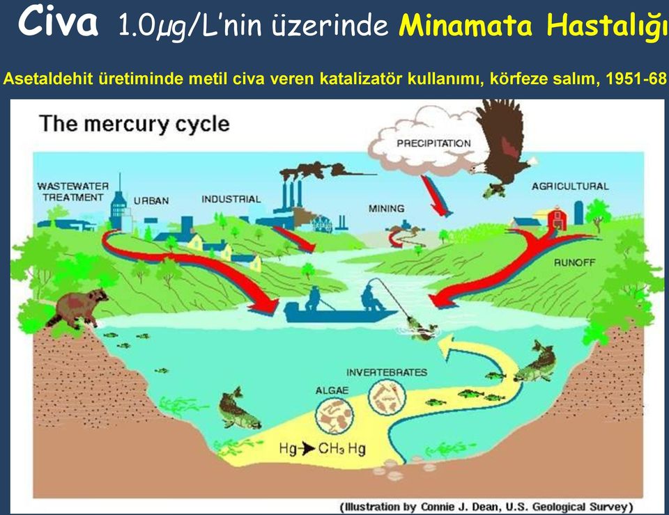 Hastalığı Asetaldehit üretiminde