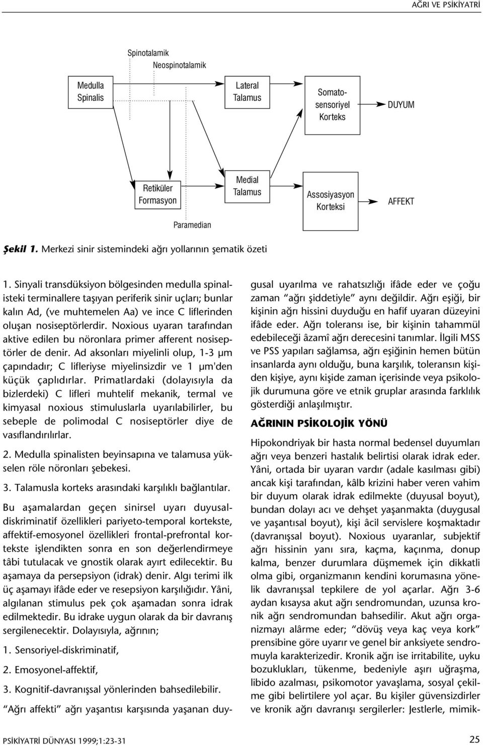 Sinyali transdüksiyon bölgesinden medulla spinalisteki terminallere taþýyan periferik sinir uçlarý; bunlar kalýn Ad, (ve muhtemelen Aa) ve ince C liflerinden oluþan nosiseptörlerdir.