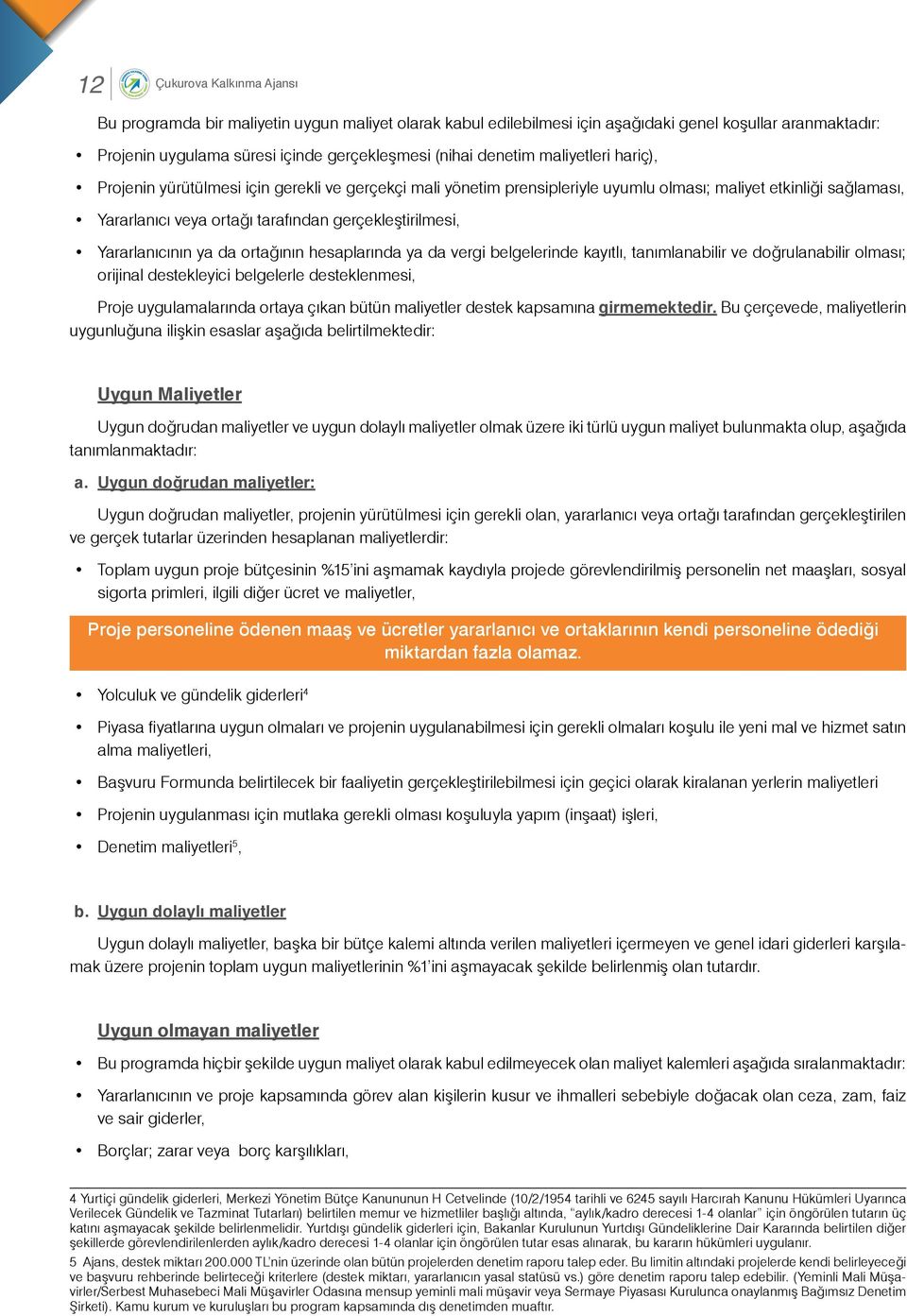 Yararlanıcının ya da ortağının hesaplarında ya da vergi belgelerinde kayıtlı, tanımlanabilir ve doğrulanabilir olması; orijinal destekleyici belgelerle desteklenmesi, Proje uygulamalarında ortaya