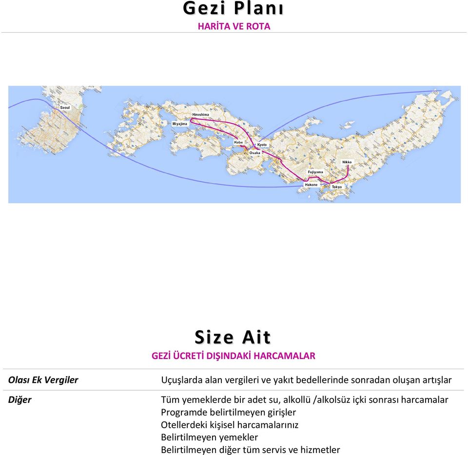 adet su, alkollü /alkolsüz içki sonrası harcamalar Programde belirtilmeyen girişler