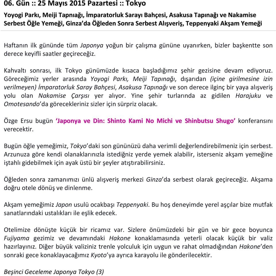 Kahvaltı sonrası, ilk Tokyo günümüzde kısaca başladığımız şehir gezisine devam ediyoruz.