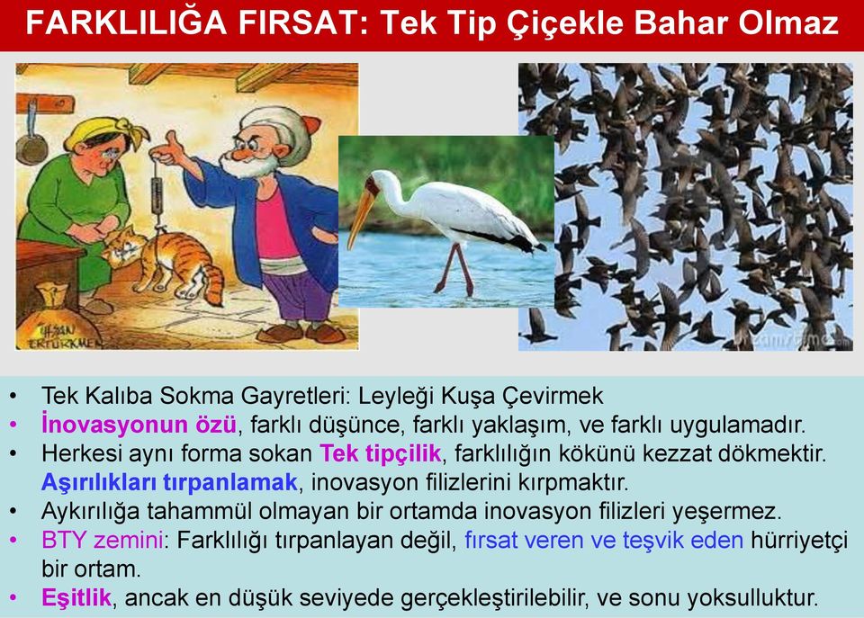 Aşırılıkları tırpanlamak, inovasyon filizlerini kırpmaktır. Aykırılığa tahammül olmayan bir ortamda inovasyon filizleri yeşermez.