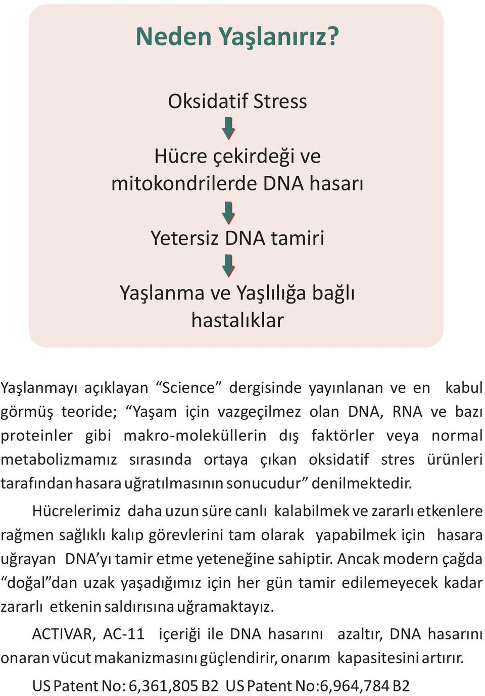 teoride; Yaþam için vazgeçilmez olan DNA, RNA ve bazý proteinler gibi makro-moleküllerin dýþ faktörler veya normal metabolizmamýz sýrasýnda ortaya çýkan oksidatif stres ürünleri tarafýndan hasara