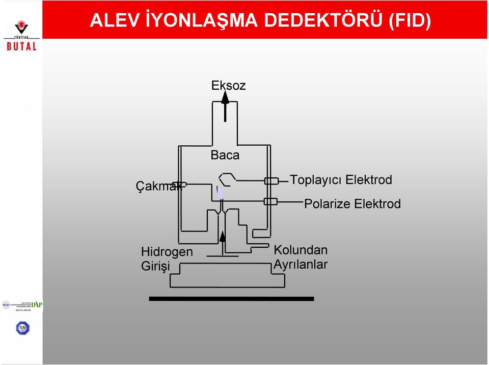 Elektrod Polarize Elektrod