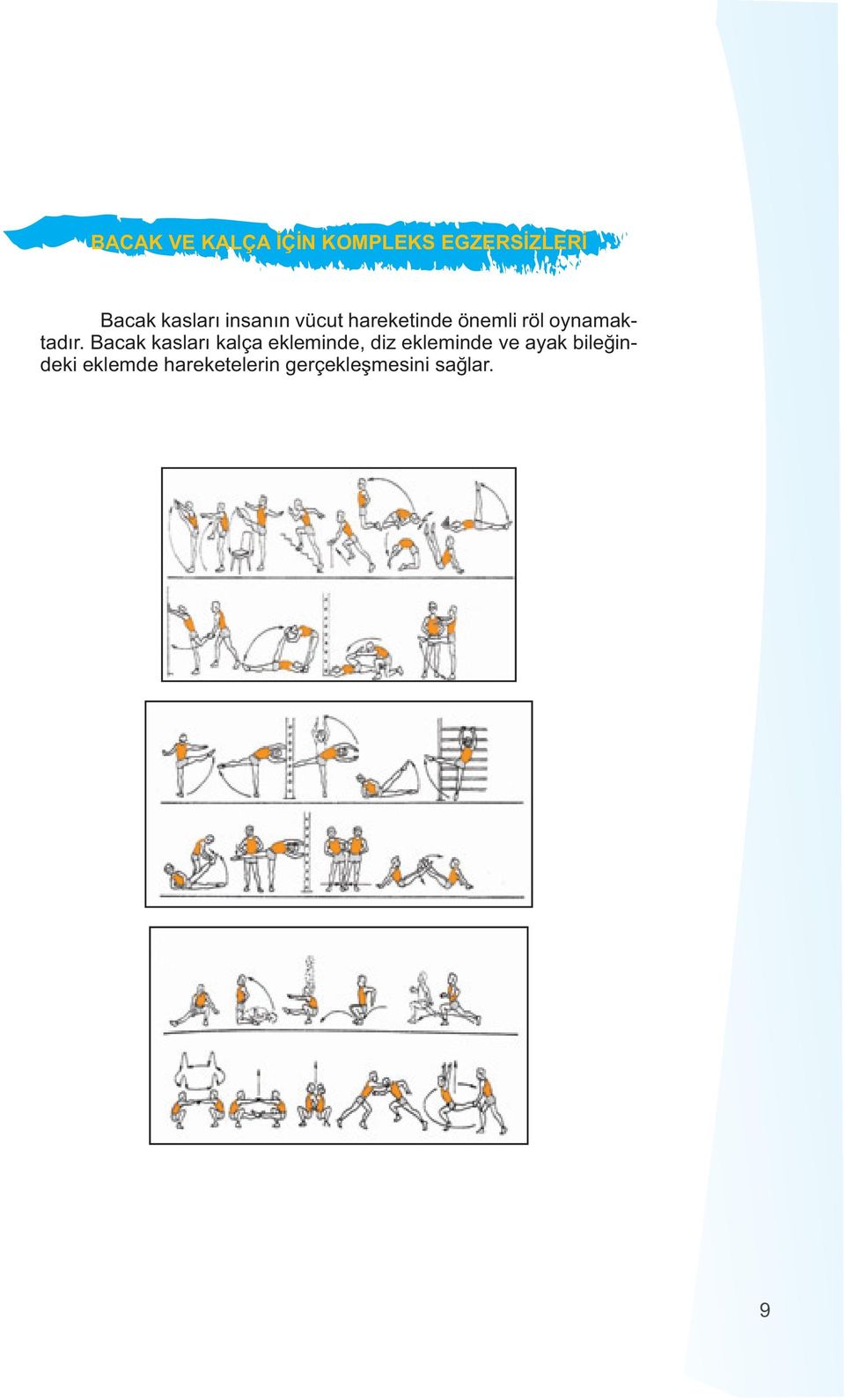 Bacak kasları kalça ekleminde, diz ekleminde ve ayak