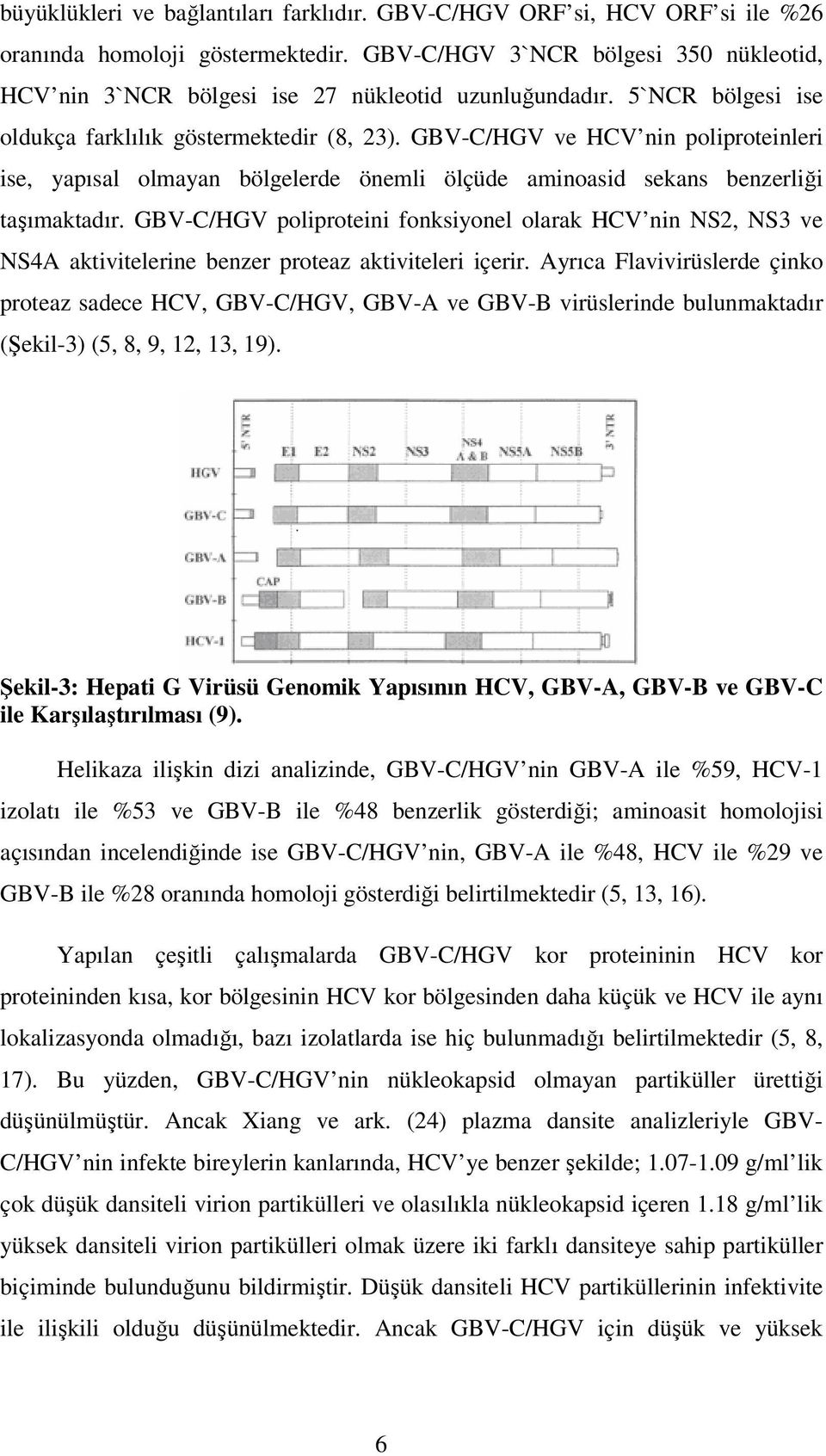 GBV-C/HGV ve HCV nin poliproteinleri ise, yapısal olmayan bölgelerde önemli ölçüde aminoasid sekans benzerliği taşımaktadır.