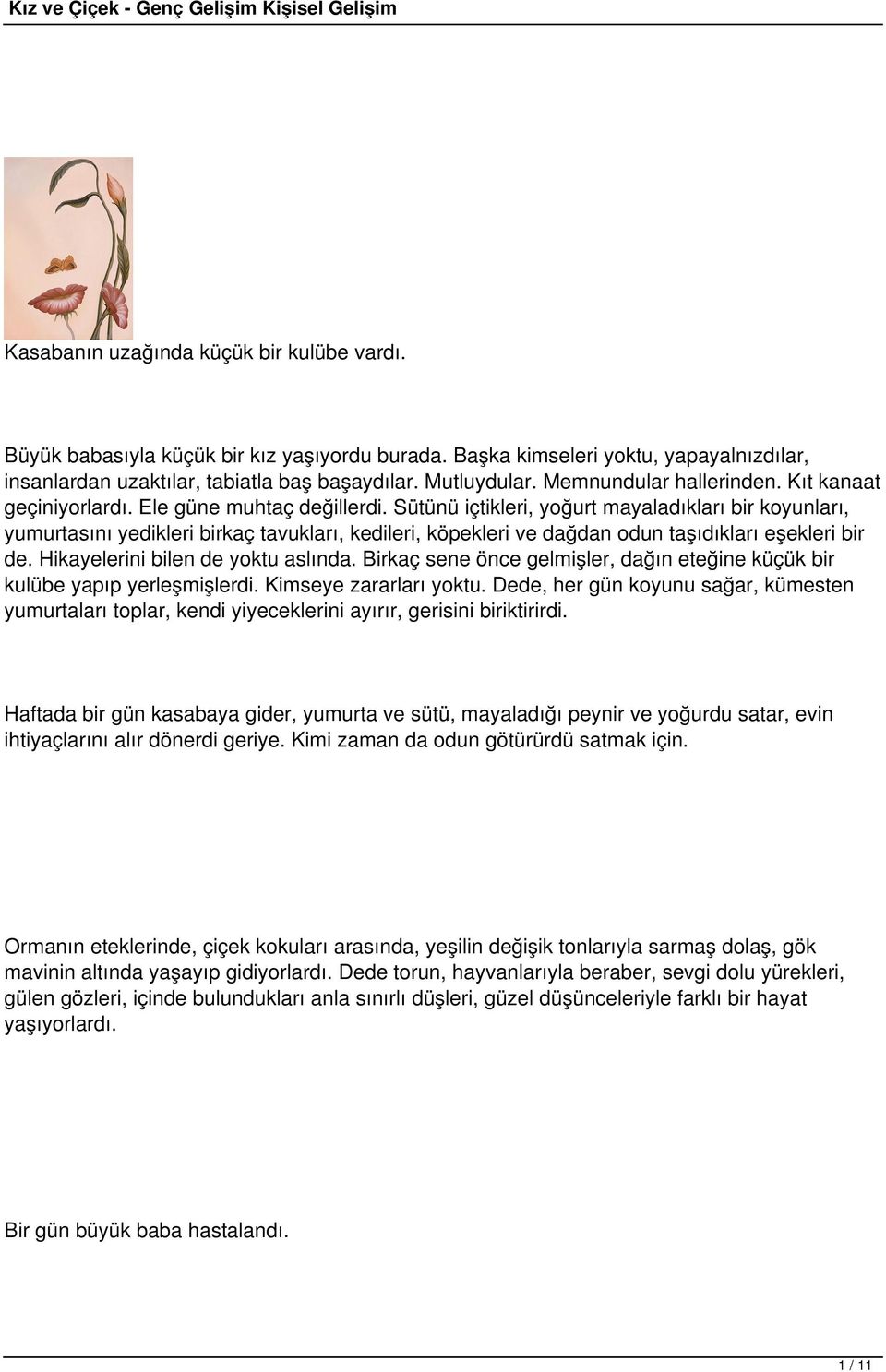 Sütünü içtikleri, yoğurt mayaladıkları bir koyunları, yumurtasını yedikleri birkaç tavukları, kedileri, köpekleri ve dağdan odun taşıdıkları eşekleri bir de. Hikayelerini bilen de yoktu aslında.