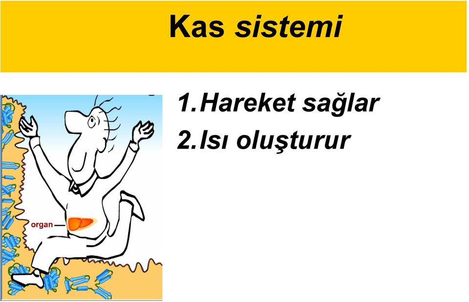 Hareket