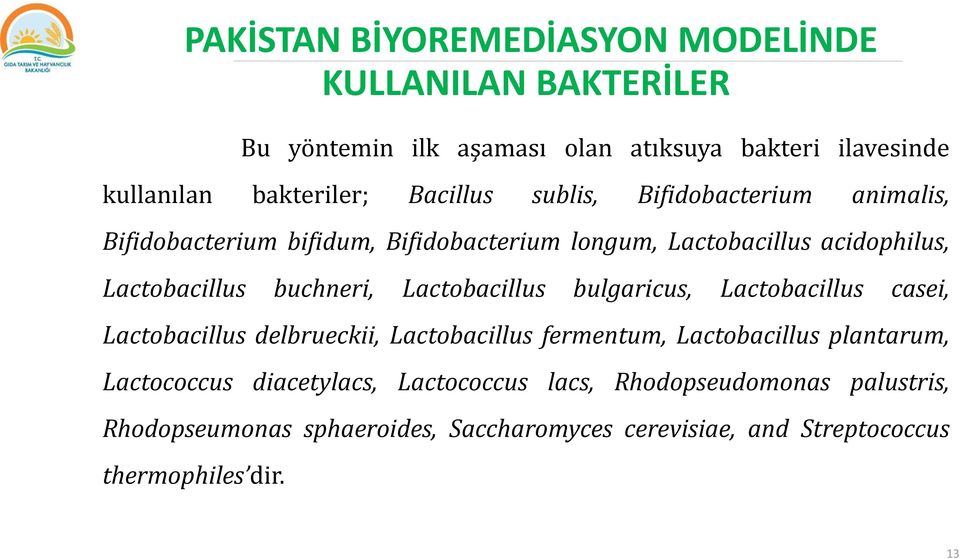 buchneri, Lactobacillus bulgaricus, Lactobacillus casei, Lactobacillus delbrueckii, Lactobacillus fermentum, Lactobacillus plantarum,