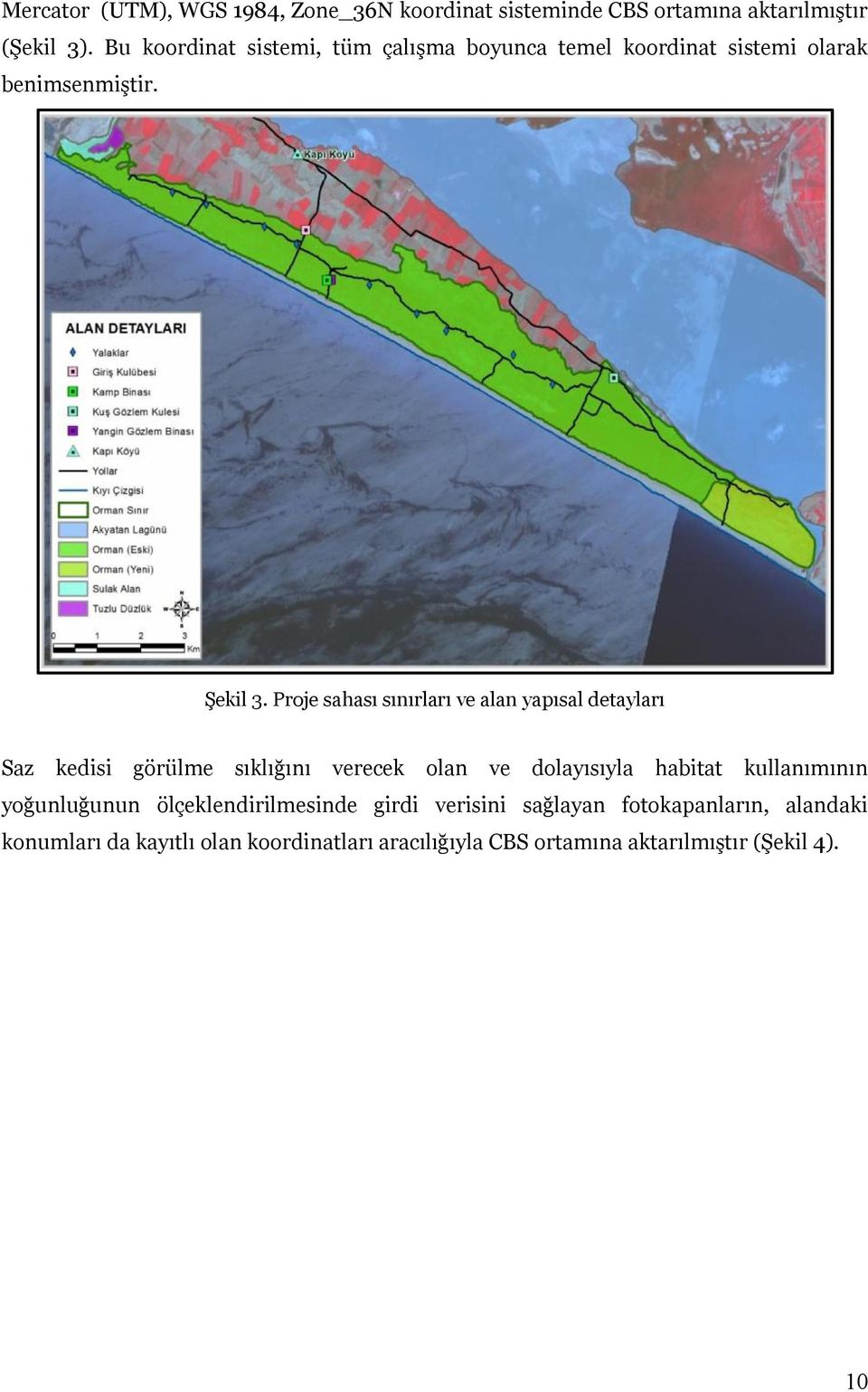 Proje sahası sınırları ve alan yapısal detayları Saz kedisi görülme sıklığını verecek olan ve dolayısıyla habitat