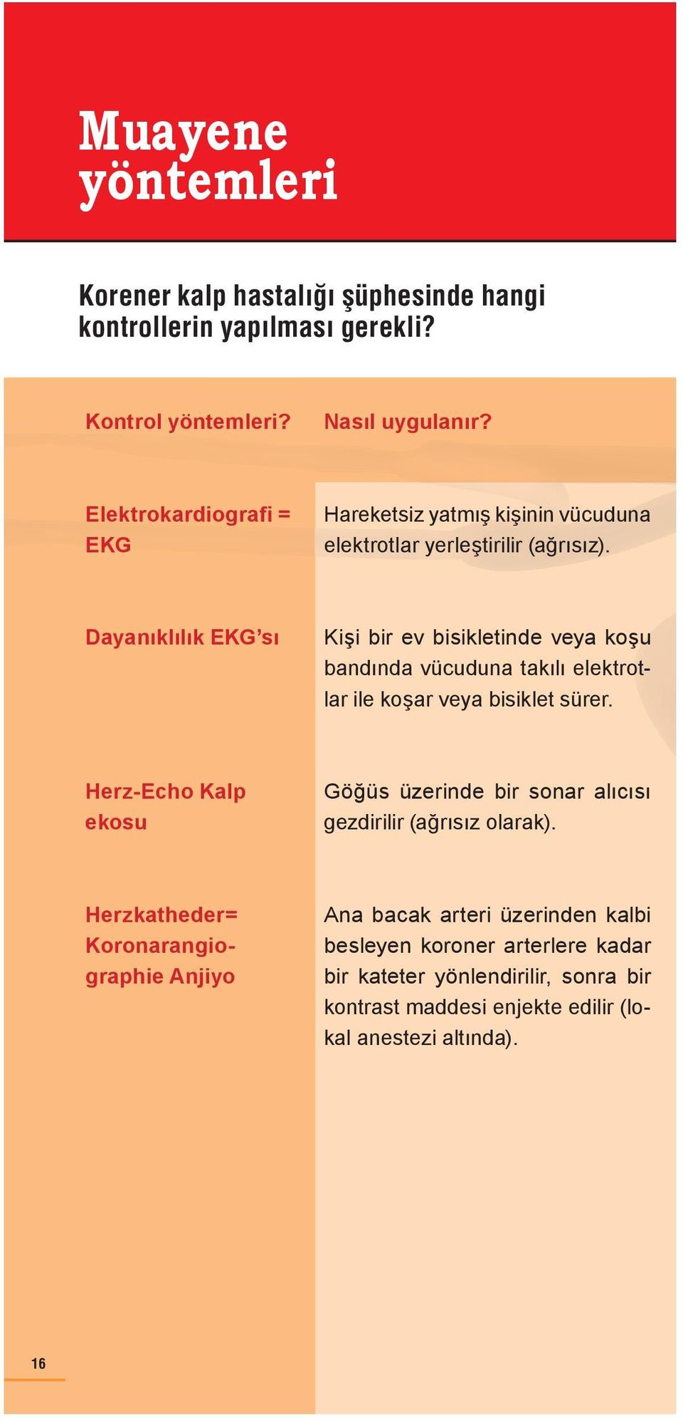 Dayanıklılık EKG sı Kişi bir ev bisikletinde veya koşu bandında vücuduna takılı elektrotlar ile koşar veya bisiklet sürer.