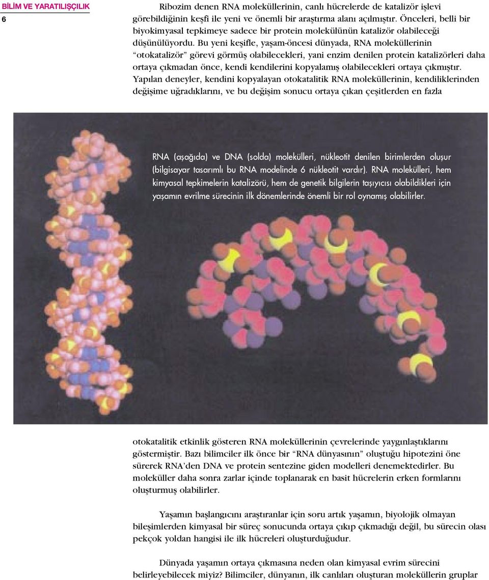 Bu yeni keßifle, yaßam-öncesi dünyada, RNA moleküllerinin otokatalizör görevi görmüß olabilecekleri, yani enzim denilen protein katalizörleri daha ortaya ç kmadan önce, kendi kendilerini kopyalam ß