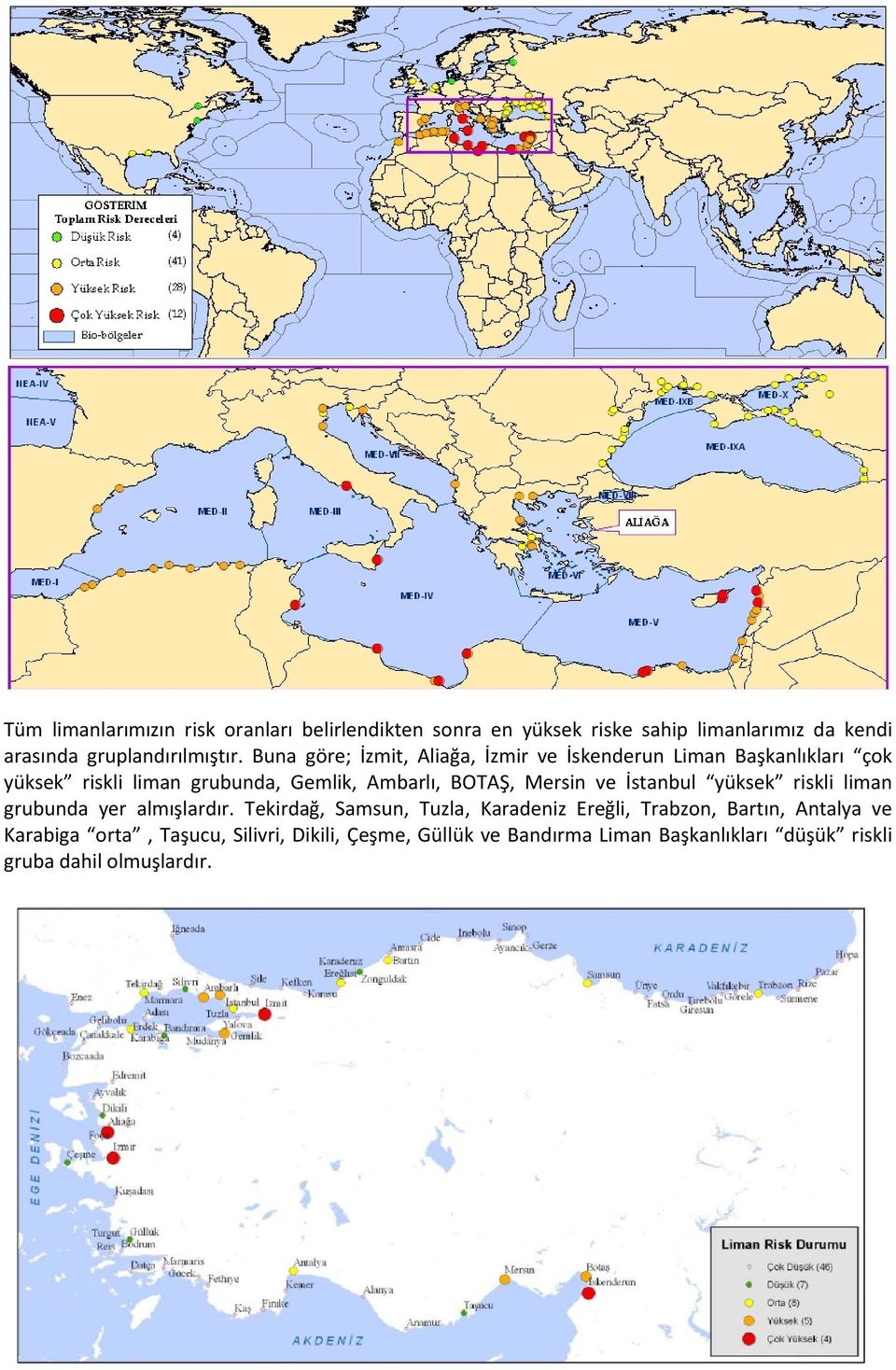 Mersin ve İstanbul yüksek riskli liman grubunda yer almışlardır.