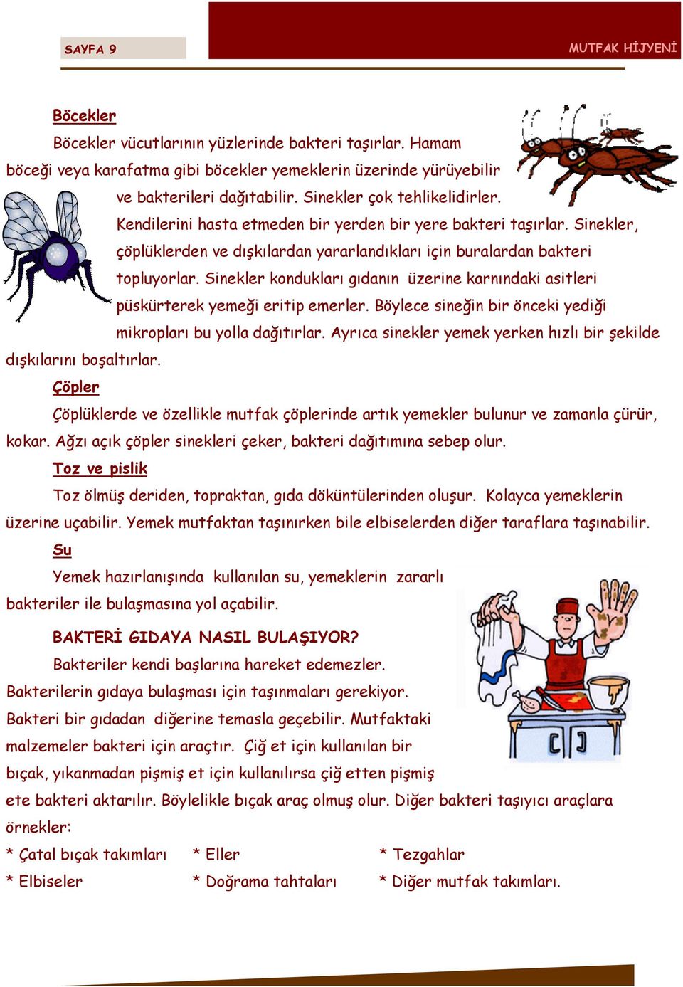 Sinekler kondukları gıdanın üzerine karnındaki asitleri püskürterek yemeği eritip emerler. Böylece sineğin bir önceki yediği mikropları bu yolla dağıtırlar.