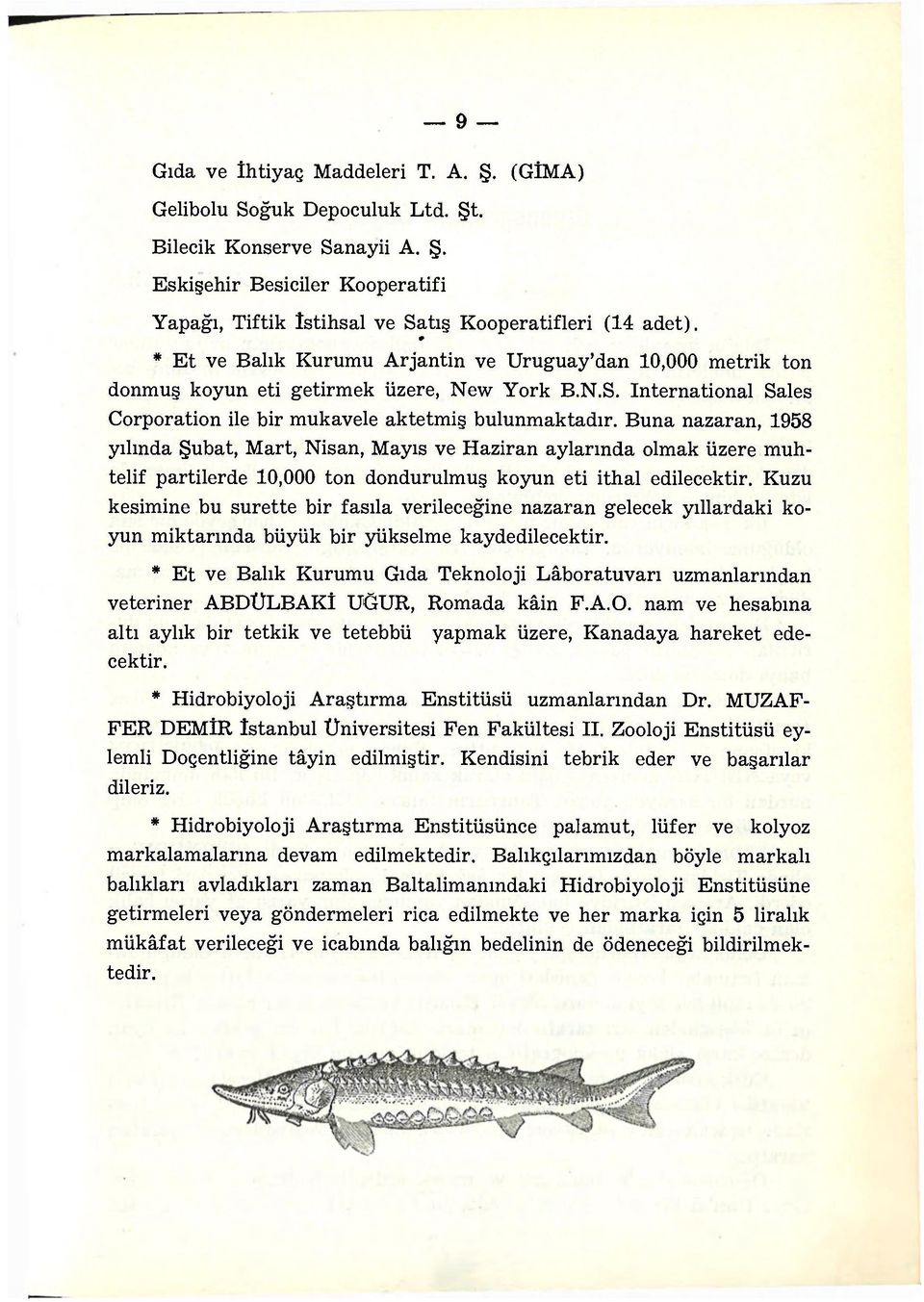 Buna nazaran, 1958 yılında Şubat, Mart, Nisan, Mayıs ve Haziran aylarında olmak üzere muhtelif partilerde 10,000 ton dondurulmuş koyun eti ithal edilecektir.