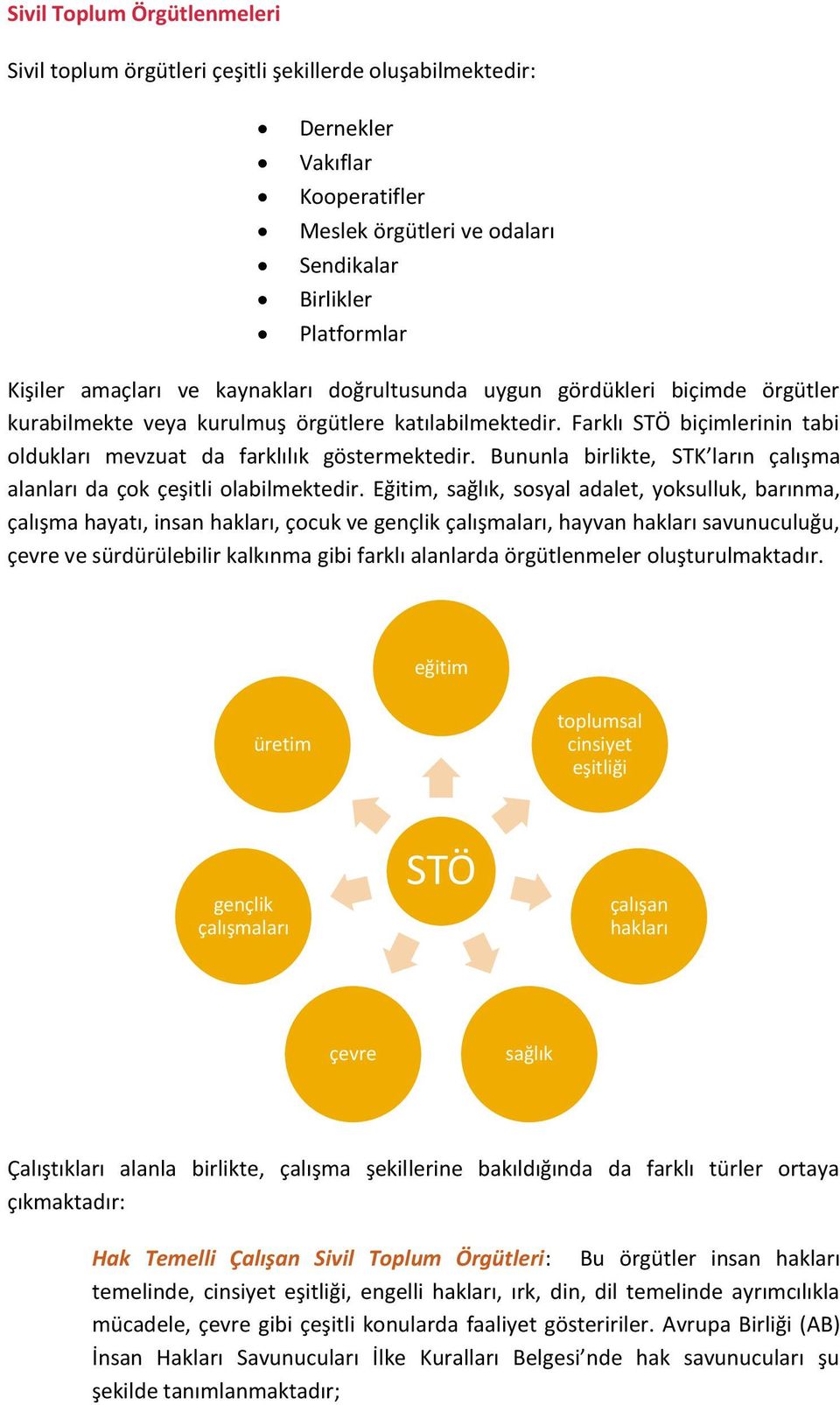 Bununla birlikte, STK ların çalışma alanları da çok çeşitli olabilmektedir.