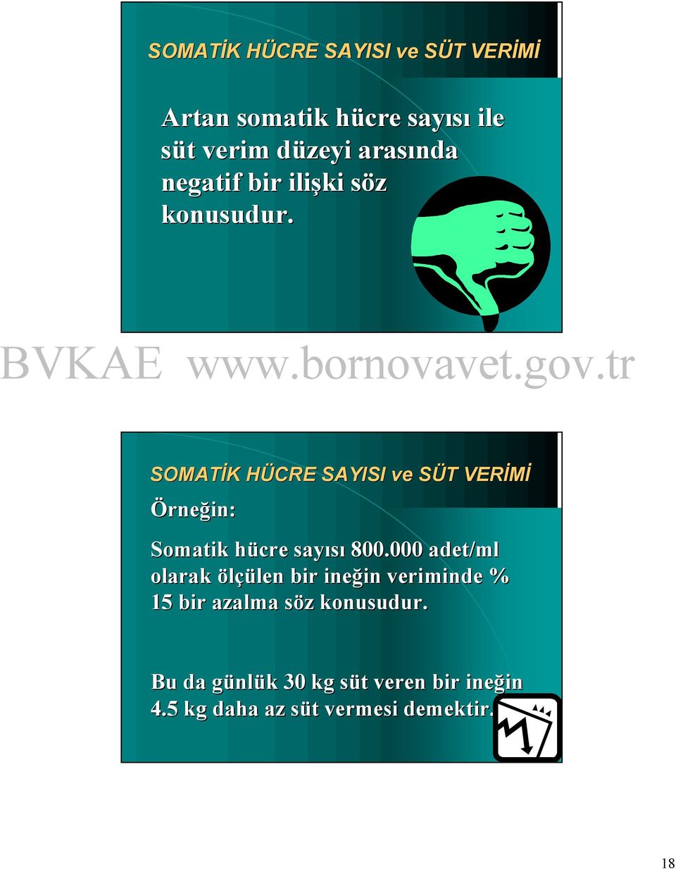 SOMATİ SOMATİK HÜ HÜCRE SAYISI ve SÜ SÜT VERİ VERİMİ Örneğin: Somatik hücre sayısı 800.