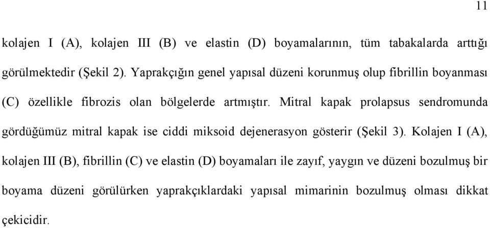 Mitral kapak prolapsus sendromunda gördüğümüz mitral kapak ise ciddi miksoid dejenerasyon gösterir (Şekil 3).