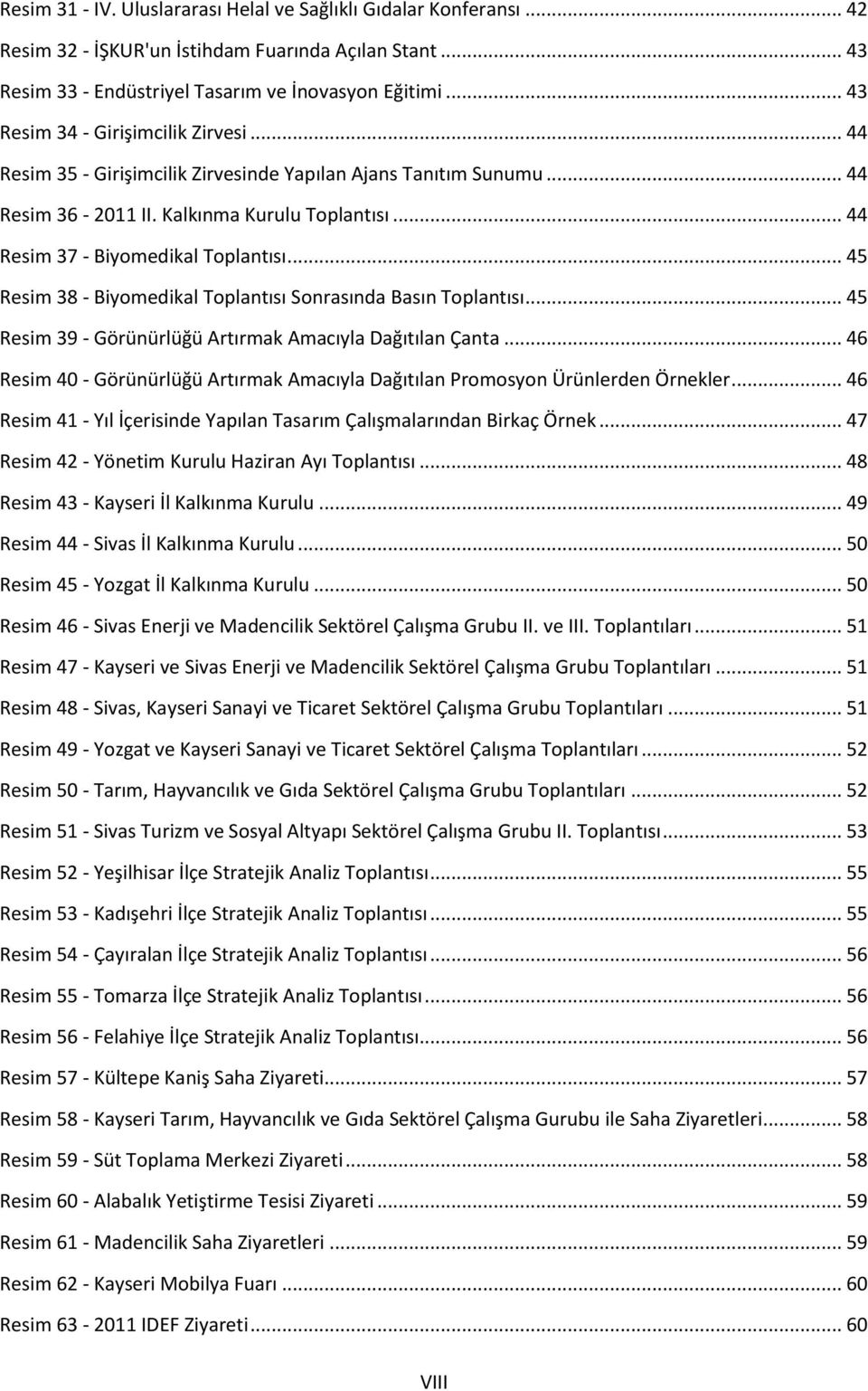 .. 45 Resim 38 - Biyomedikal Toplantısı Sonrasında Basın Toplantısı... 45 Resim 39 - Görünürlüğü Artırmak Amacıyla Dağıtılan Çanta.