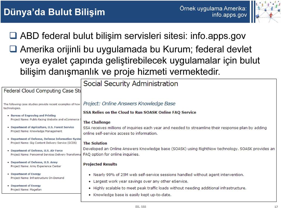 gov Amerika orijinli bu uygulamada bu Kurum; federal devlet veya eyalet