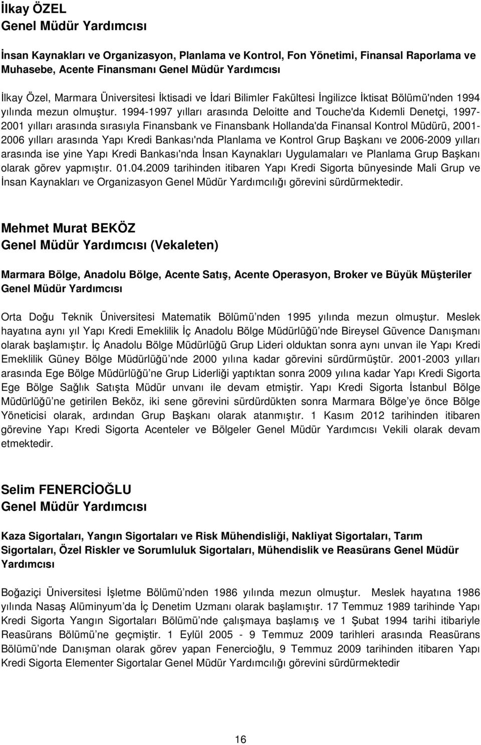 1994-1997 yılları arasında Deloitte and Touche'da Kıdemli Denetçi, 1997-2001 yılları arasında sırasıyla Finansbank ve Finansbank Hollanda'da Finansal Kontrol Müdürü, 2001-2006 yılları arasında Yapı