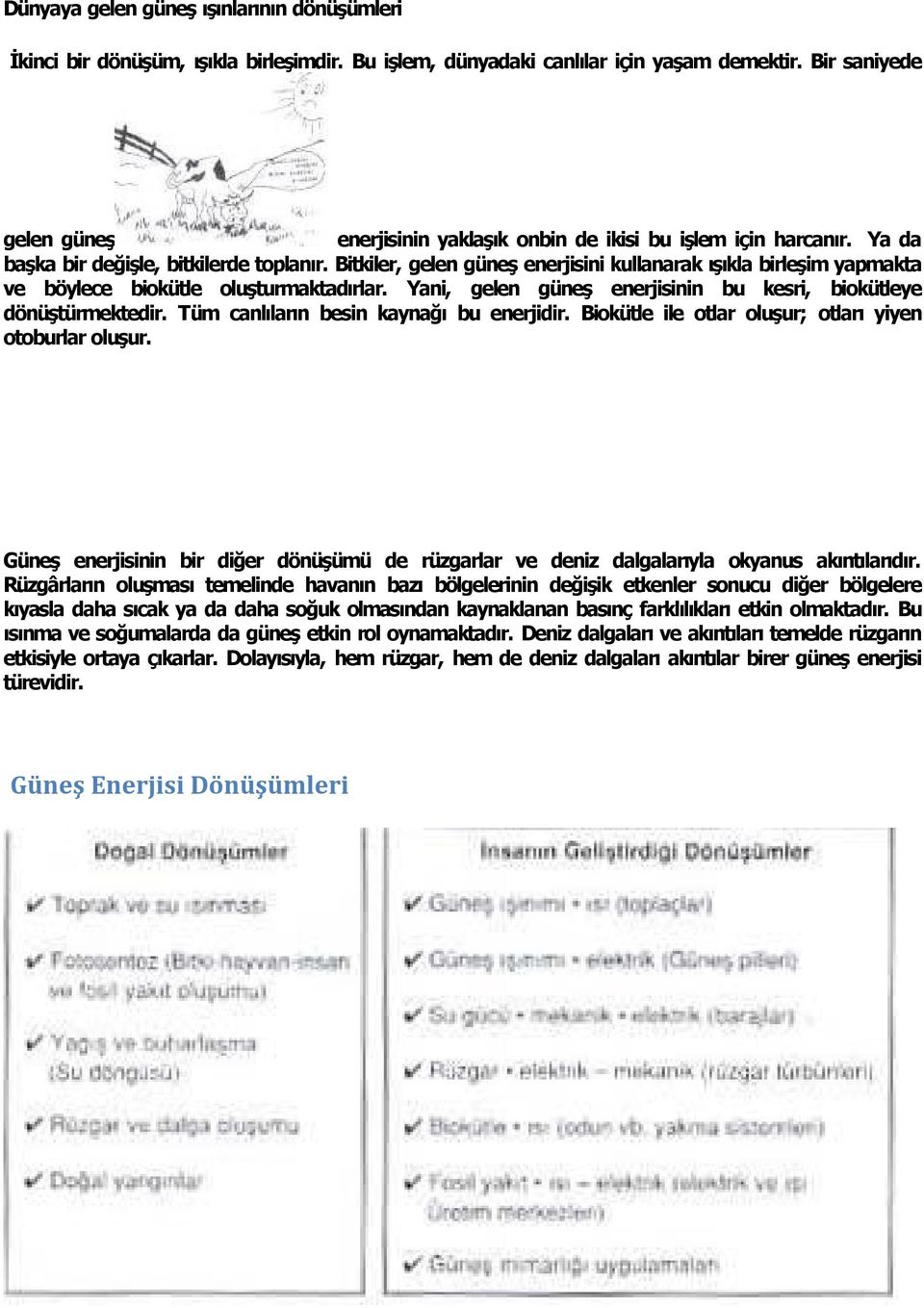 Bitkiler, gelen güneş enerjisini kullanarak ş kla birleşim yapmakta ve böylece biokütle oluşturmaktad rlar. Yani, gelen güneş enerjisinin bu kesri, biokütleye dönüştürmektedir.