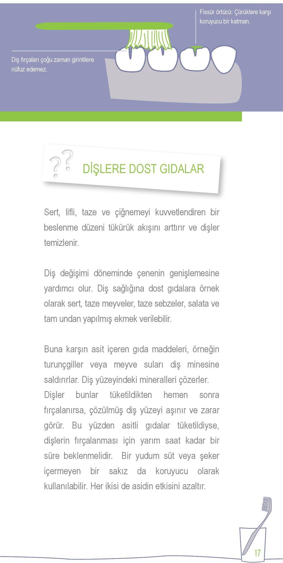 Diş sağlığına dost gıdalara örnek olarak sert, taze meyveler, taze sebzeler, salata ve tam undan yapılmış ekmek verilebilir.