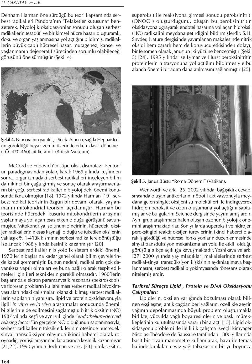 hasarı oluşturarak, doku ve organ yaşlanmasına yol açtığını bildirmiş, radikallerin büyük çaplı hücresel hasar, mutagenez, kanser ve yaşlanmanın dejeneratif sürecinden sorumlu olabileceği görüşünü