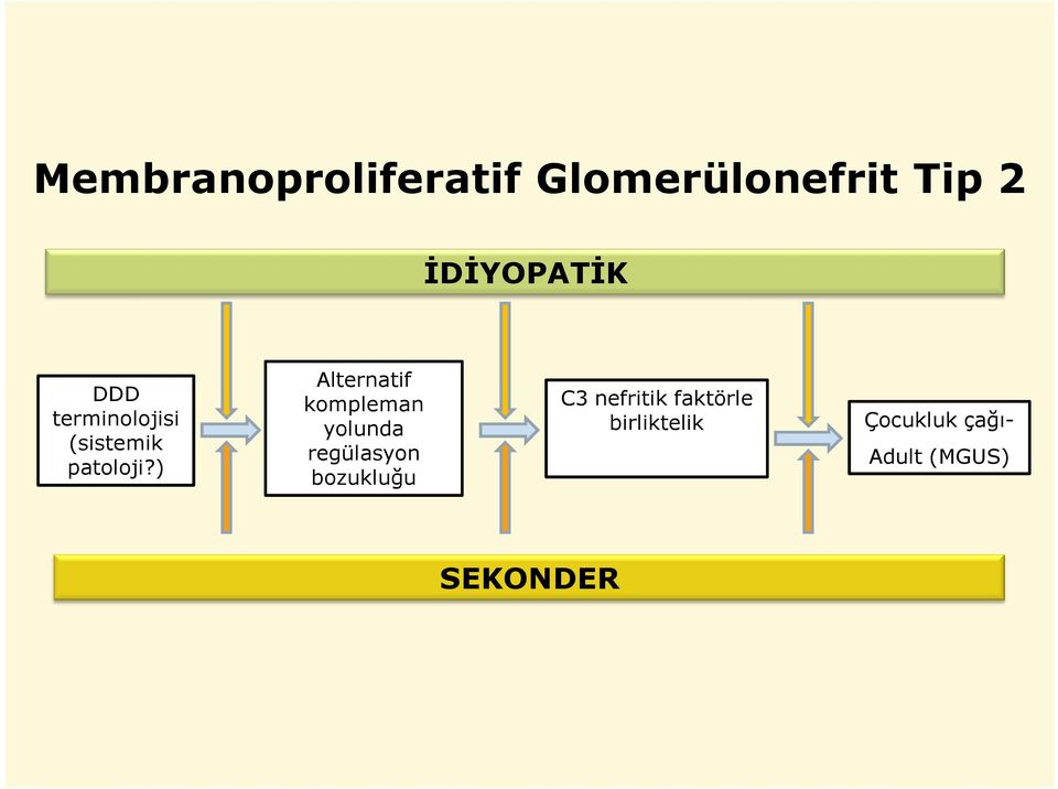 ) Alternatif kompleman yolunda regülasyon bozukluğu