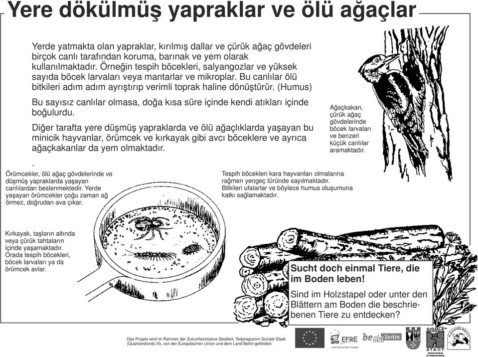 (Humus) Bu sayısız canlılar olmasa, doğa kısa süre içinde kendi atıkları içinde boğulurdu.