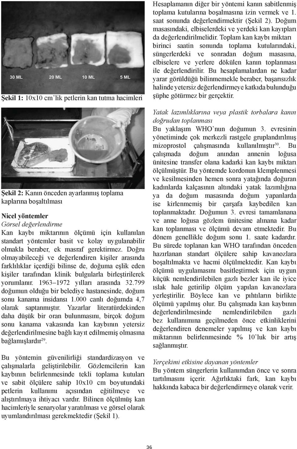 Doğru olmayabileceği ve değerlendiren kişiler arasında farklılıklar içerdiği bilinse de, doğuma eşlik eden kişiler tarafından klinik bulgularla birleştirilerek yorumlanır.